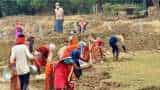 Big relief to the Labourers of jharkhand, state government put Rs 350 crore in MGNREGA workers account 