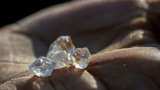 a farmer from panna district mined 7 carat dimond after taking land on lease from government