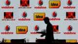 telecom sector happy with the decisions of the cabinet, promoters of Vodafone-Idea praised the government