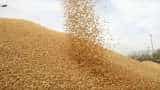 Kharif food grain production estimated to be record 15.05 crore tonnes this year said Government