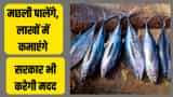 how to start fish farming with 25000 yearly investment and earn upto 2 lac every month here you know how