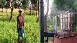  Jharkhand Locals in Khunti known for opium farming, adopted lemongrass cultivation for business