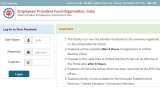 EPF passbook: How to download e-statement from EPFO portal, Steps to check PF Balance