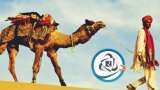 "Khamma Ghani"! If you haven't seen Rajasthan in these holidays, haven't seen anything, IRCTC's Pride Tour Package!
