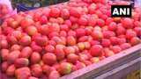 Tomato price will be lower in December, onion price is under control in retail