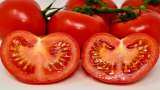 Tomato prices will soften from December with the arrival of new crop: Government