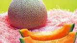 world's most expensive fruit yubari king melon japan