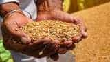 homeless and destitute people will get subsidized food grains soon, the government is developing a new system