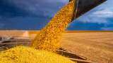 Zee Business Exclusive: इस साल Commodity Market में कैसी रहेगी Agri वायदा की ग्रोथ?