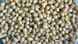 urad dal Average wholesale price decreased by five percent in one year as govt says