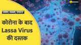 कोरोना के बाद Lassa Virus की दस्तक