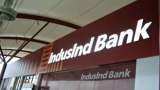 IndusInd Bank PIL in Delhi HC against Bank promoters Hindujas, seeks probe into fit and proper status