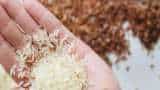 Non-basmati rice exports touch 6.11 billion US Dollar in 2021-22 