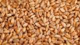 Government announces some relaxation in wheat export notification