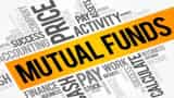 Mutual Fund Investment Start long term investment with 100rs to get crore rupees check detail