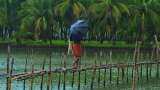 Monsoon 2022: केरल में दस्तक- आ गया बारिश का सीजन, जानिए अब आपके शहर में कब बरसेंगे बादल