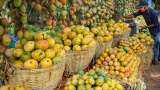 Mango Price Hike Scorching heat scanty rainfall affect mango production in Bengal Uttar Pradesh prices soar see details