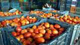 tomato onion price decline by 29 and 9 percent over last month government suggests data here you know more