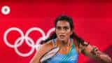 Commonwealth Games 2022 Indian Olympic Association named PV Sindhu to be India's flag bearer in Birmingham Commonwealth Games