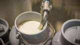 Punjab Milk Price Hike Milkfed raised Verka milk prices by Rs 2 per litre mother dairy amul milk price hike details inside