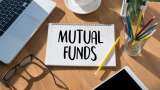 Mutual fund investment tips 5 major benefits of large cap funds