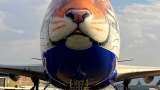 cheetah plane will land in gwalior of mp pm modi will free cheetahs on his birthday