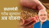 Good News PMGKAY free ration scheme for 80 crore people date may increase after September 2022 govt scheme