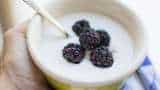 Difference between Curd And Yogurt its benefits and nutrition details