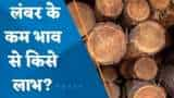 पेपर इंडस्ट्रीज फोकस में; लंबर की कम कीमतों से किन कंपनियों को होगा फायदा?