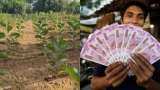 Become a Crorepati in 15 years by Planting 400 teak Trees in 1 Acre of Land Read more details
