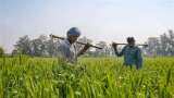 सरकार ने किसानों को दिया दिवाली का तोहफा, रबी की फसलों पर MSP में बढ़ोतरी को कैबिनेट ने दी मंजूरी