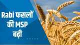 Commodity Superfast: सरकार ने किसानों को दिया Diwali का तोहफा ! रबी फसलों की MSP बढ़ी