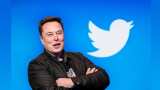Twitter CEO Elon musk to relaunch twitter's blue check subscription on november 29th check detail