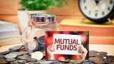 what is focused mutual fund