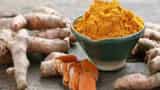 Raw Turmeric Benefits for all problems viral infection cough and lung problems in winter know tremendous benefits