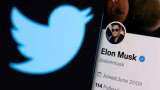 twitter  to launch verified account of three different colour elon musk confirms tweet