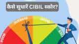 How to Improve Your CIBIL Score Immediately know more details 