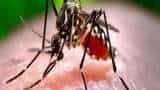 zika virus what is zika virus know symptoms prevention and treatments know details