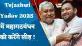 Bihar Politics: 'तेजस्वी यादव 2025 में महागठबंधन को करेंगे लीड', CM नीतीश कुमार का बड़ा ऐलान