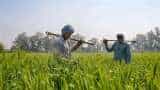 Budget 2023 agri sector will get good news a budget is expected to promote consumption