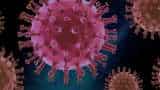 Coronavirus BF 7 Variant in India Covid 19 suspected case found in Vadodara Gujarat NRI Women new Omicron sub-variant surge in China covid cases