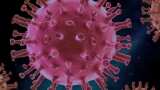 Coronavirus BF 7 Variant in India Updates: कोरोना ने बढ़ाई चिंता, पीएम मोदी आज करेंगे उच्च स्तरीय बैठक 