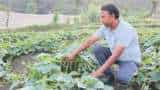 agriculture this man left job for natural farming now earning in lakhs you can also take the idea