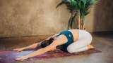 5 Yoga Asanas to calm your overworked brain Anulom Vilom Bhujangasana Balasana Vriksasana Savasana 