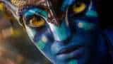 Avatar 2 box office collection biggest hollywood blockbuster films in india Avengers Endgame Avatar The Way of Water box office collection
