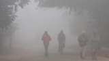 Weather Updates: the cold wave conditions will end from January 19 in North and North West India, delhi rajasthan latest weather news