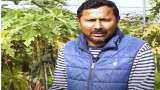 Leave assistant professor and start farming earn more than Rs 7 lakh from papaya farming