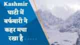 Jammu And Kashmir Weather Update: कश्मीर घाटी में बर्फबारी का कहर, 24 घंटे में 8 जिलों में एवलॉन्च का अलर्ट जारी