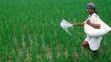 Budget 2023 may cut fertiliser subsidy by 20 percent to 2 lakh crore