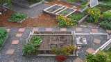 Bihar horticulture apply for chhat par bagwani yojana and get rs 25000 for terrace gardenig